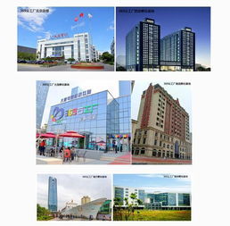 大唐網(wǎng)絡(luò)369云工廠運(yùn)營(yíng)公司成立，實(shí)業(yè)運(yùn)營(yíng)與建設(shè)雙輪驅(qū)動(dòng)區(qū)域孵化基地全面升級(jí)